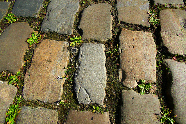 pavement guy renard